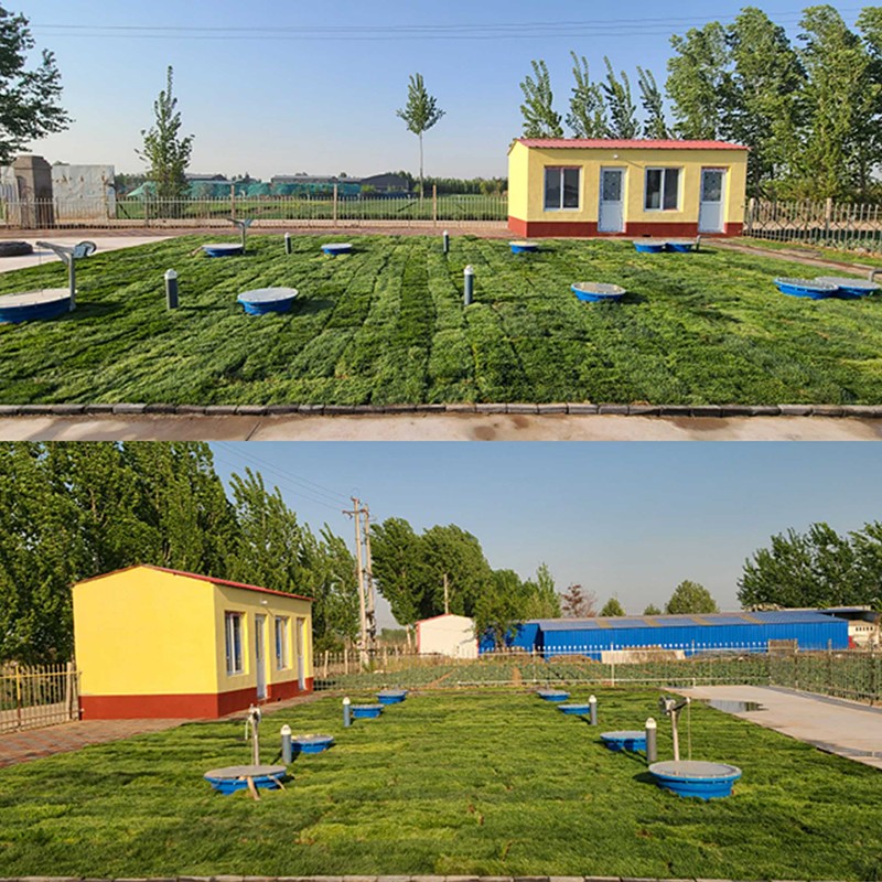 农村污水处理站