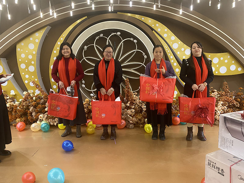 香港全年最全免费资料大全2025年会盛典